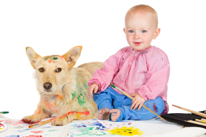 Pet Stain Removal West Hollywood